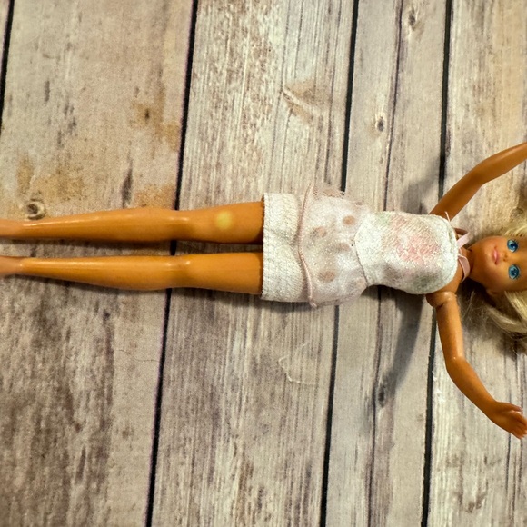 Vintage Barbie Skipper Dolls - Picture 9 of 16